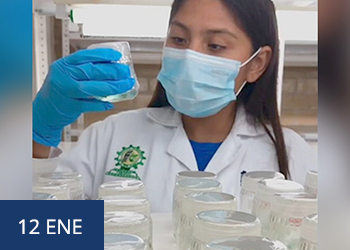 Obtienen estudiantes del TecNM Zona Olmeca primer y tercer lugar en foro de ciencia en Tabasco   