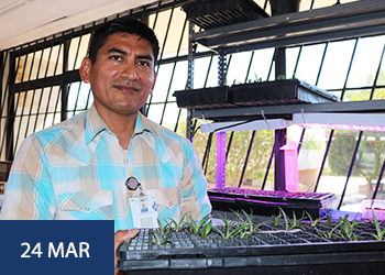 Investiga docente del ITS Huichapan sobre "Agave Salmiana" 