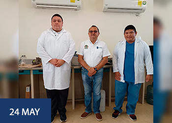 Presentarán en Panamá resultados de estudios sobre contaminantes en el pulpo maya  